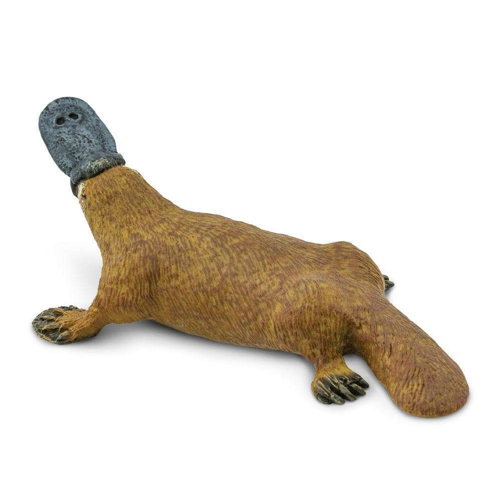 Platypus Toy