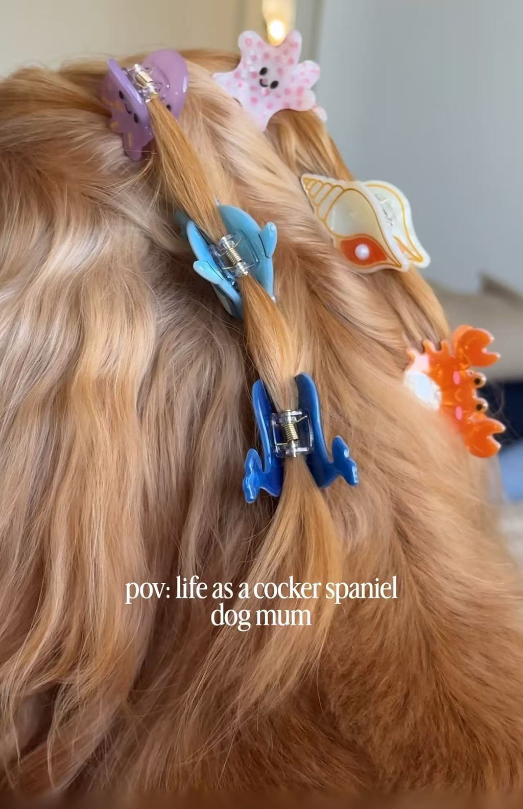 PAWSOME PETS NEW YORK Hand-painted OCEAN COLLECTION SMALL Hair Clip | Eco-Friendly - hair claws at Dealshubindia