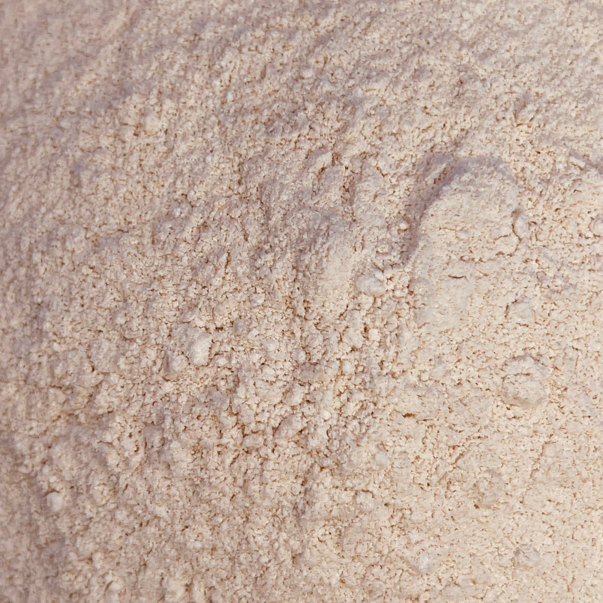 Bulk Gold Sea Moss Powder | 1–100 lb Business Supply