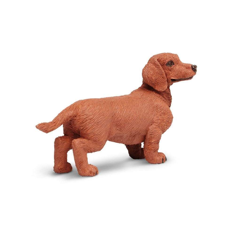 Dachshund Toy