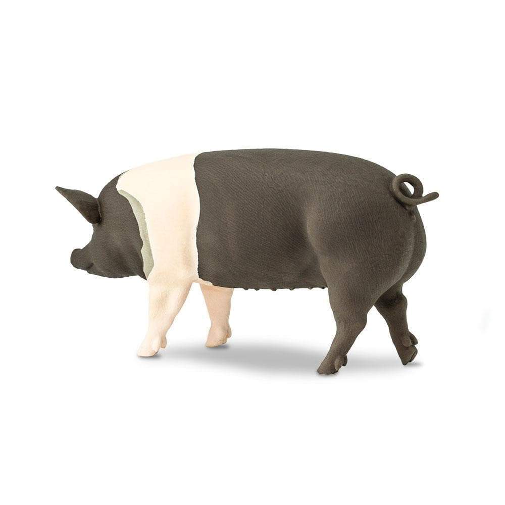 Hampshire Pig Toy