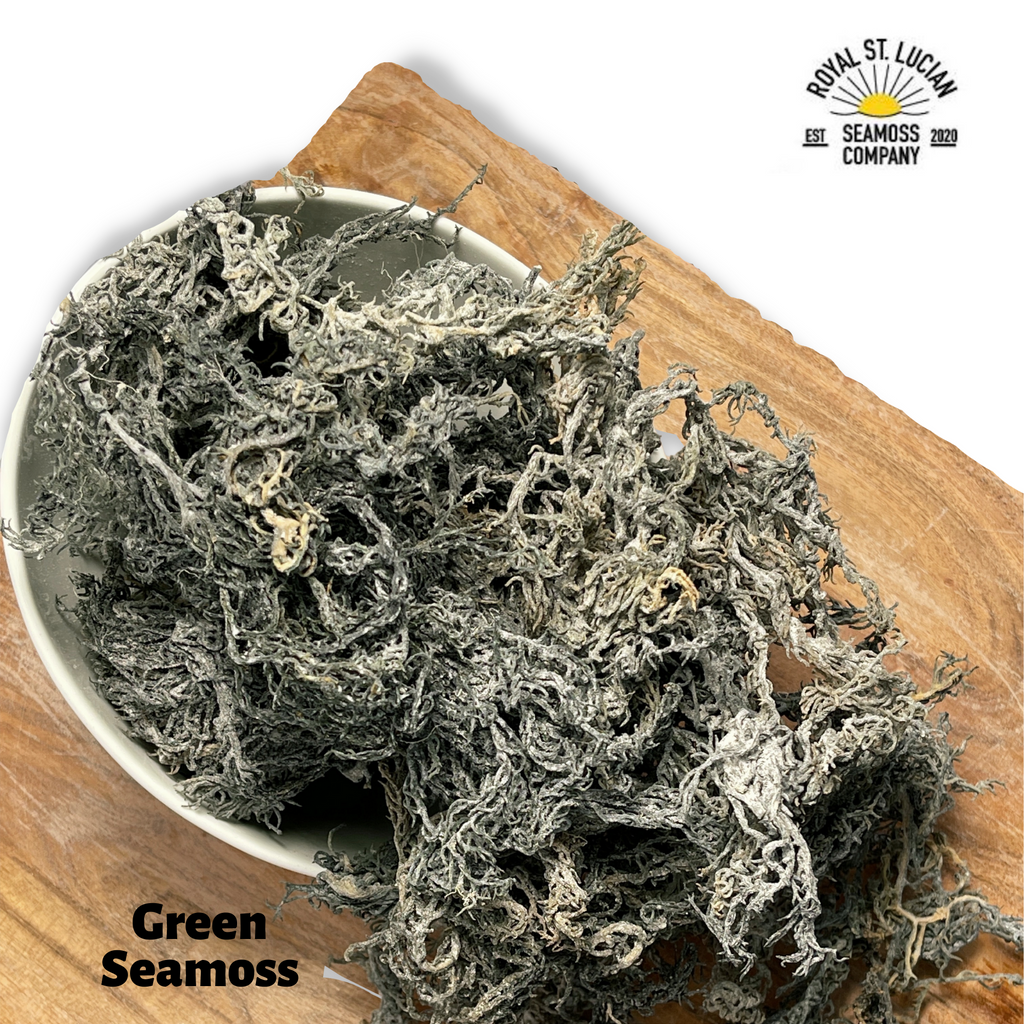 Green Sea Moss Wholesale | 5–50 lb Dried Bulk