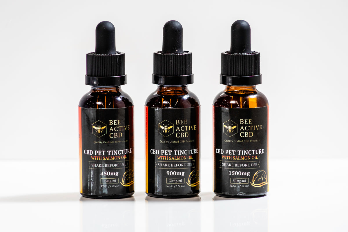 Bee Active CBD Pet Tincture – Salmon Flavor