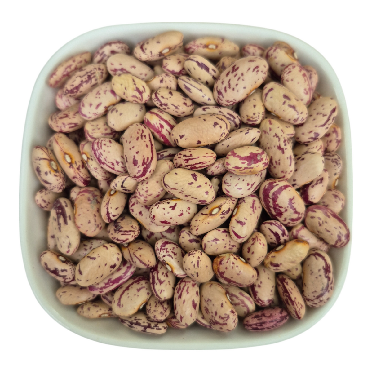 Beans Red, White, Pink, Black-eyed, Mung (Green grams) – Natural Organic Premium-quality