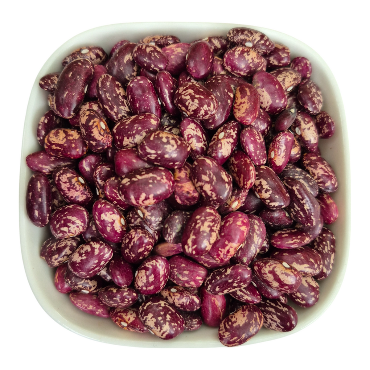 Beans Red, White, Pink, Black-eyed, Mung (Green grams) – Natural Organic Premium-quality