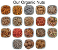 Shelled Almonds – Natural Organic Premium-quality + Free sample!