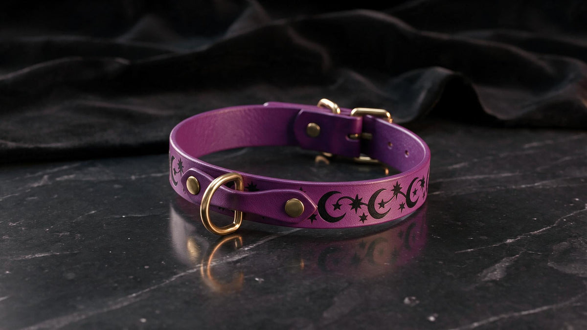 Discreet Day Collar – Moon And Stars Leather Choker Metal Buckle.