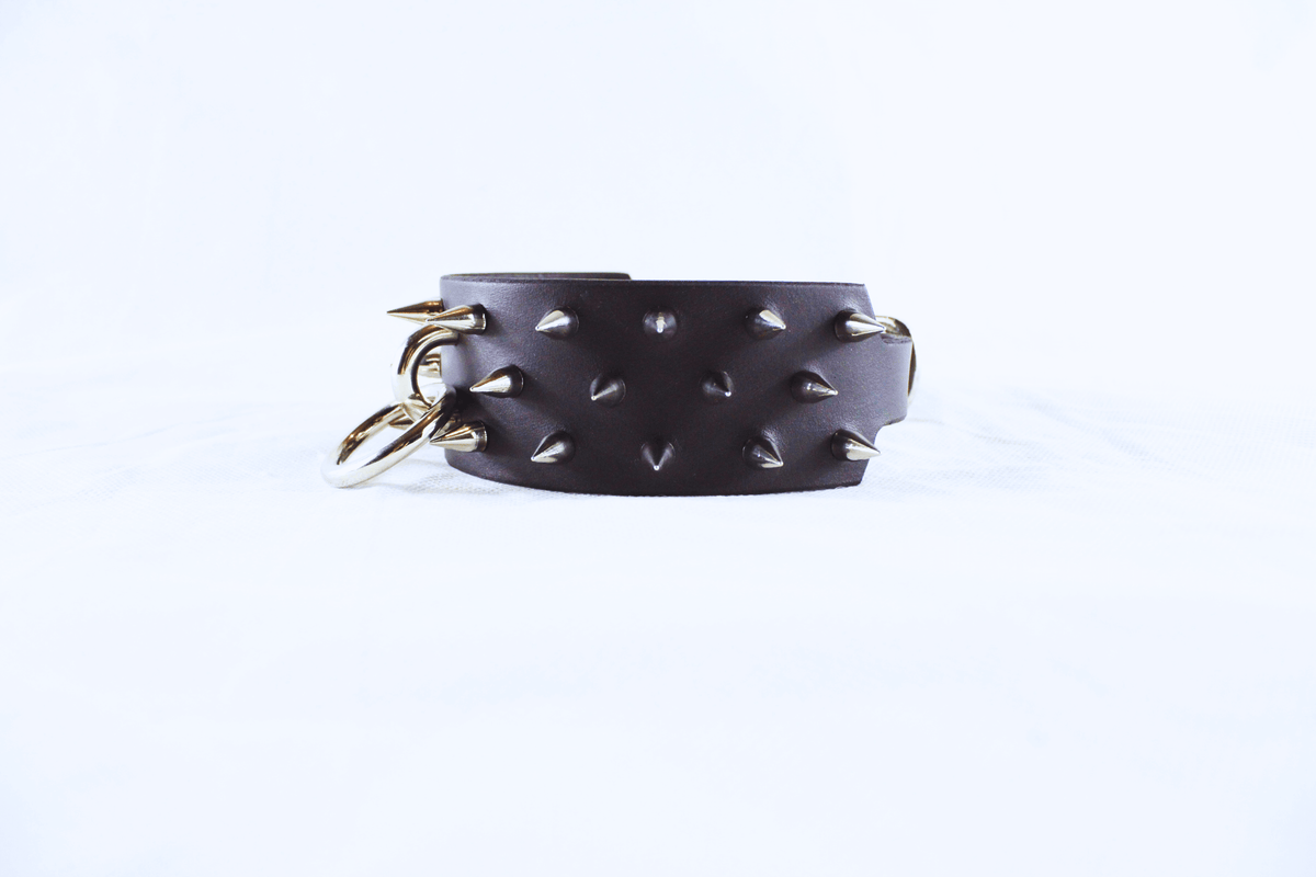 Dominion Leather Collar – Spiked BDSM Posture Collar Choker