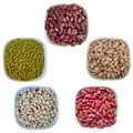 Mung Beans (Green Grams) – Natural Organic Premium-quality