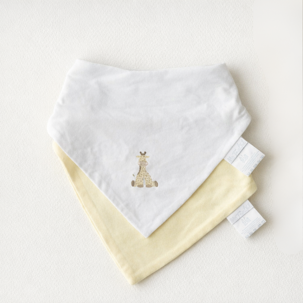 Baby Bibs (Set of Two)