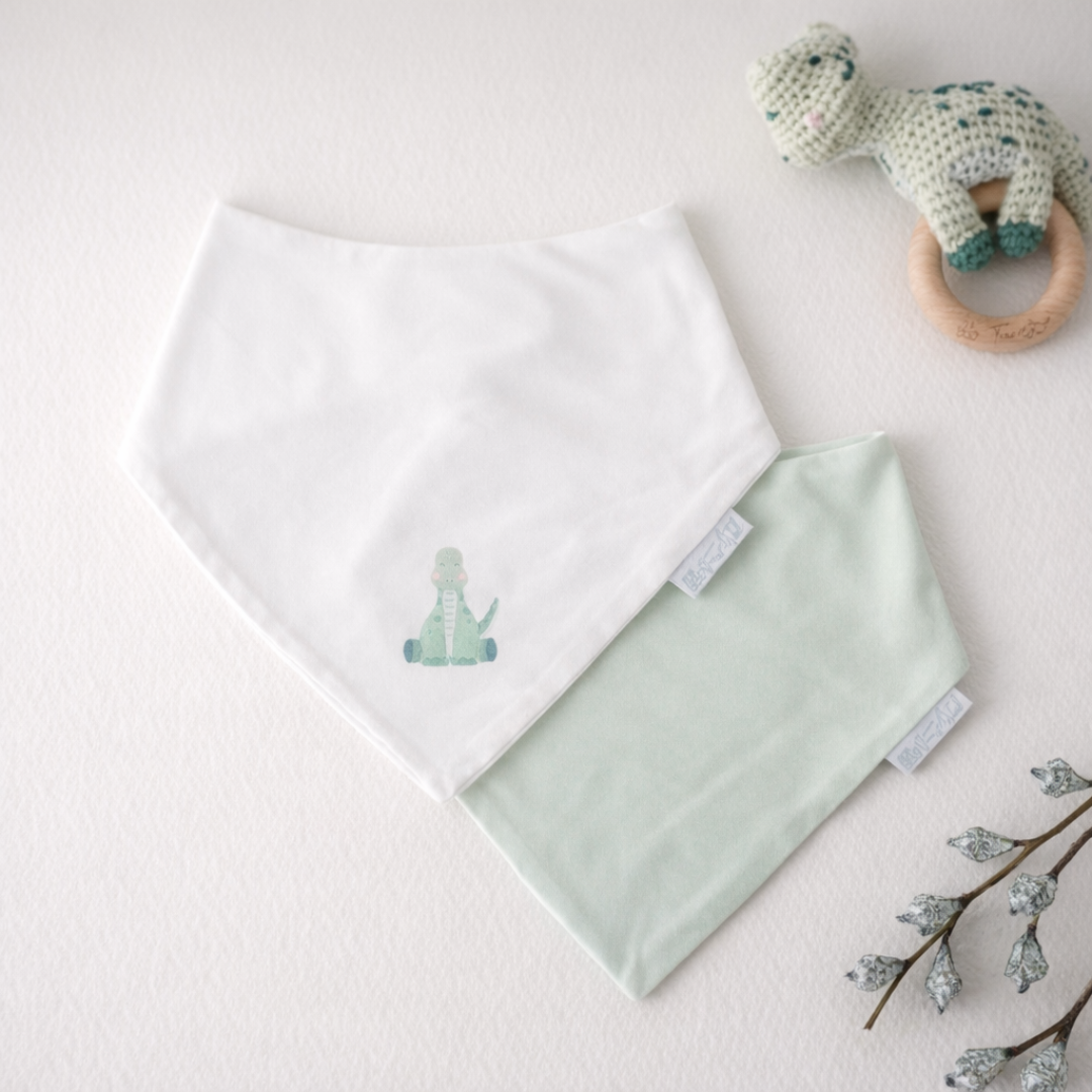 Baby Bibs (Set of Two)