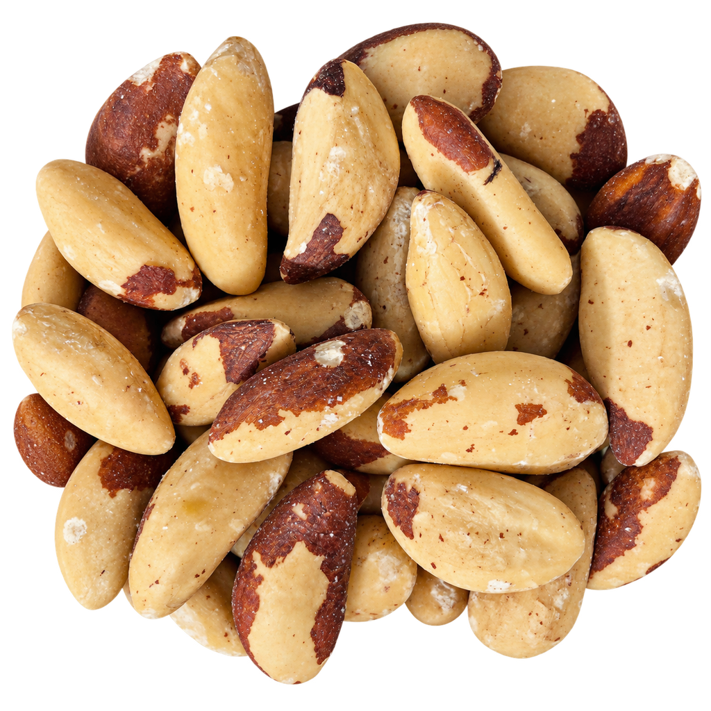 Brazil Nuts – Natural Organic Premium-quality + Free sample!