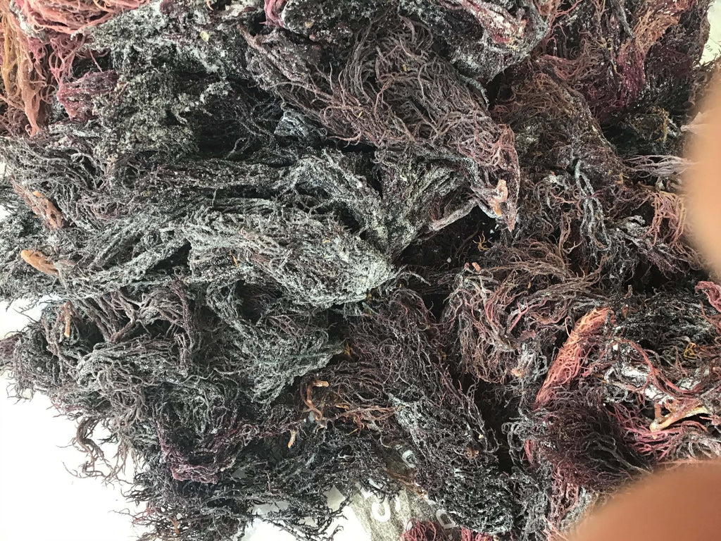 Premium Dark Purple Seamoss — Shipped Direct from Saint Lucia
