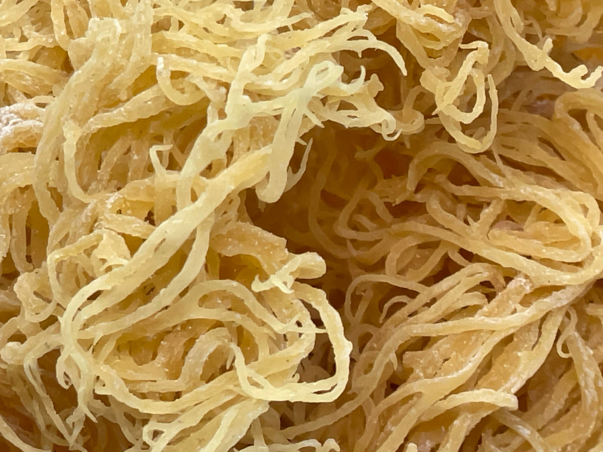 St. Lucian Gold Sea Moss Bulk (Wholesale Dried Seamoss)