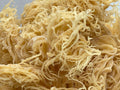 St. Lucian Gold Sea Moss Bulk (Wholesale Dried Seamoss)