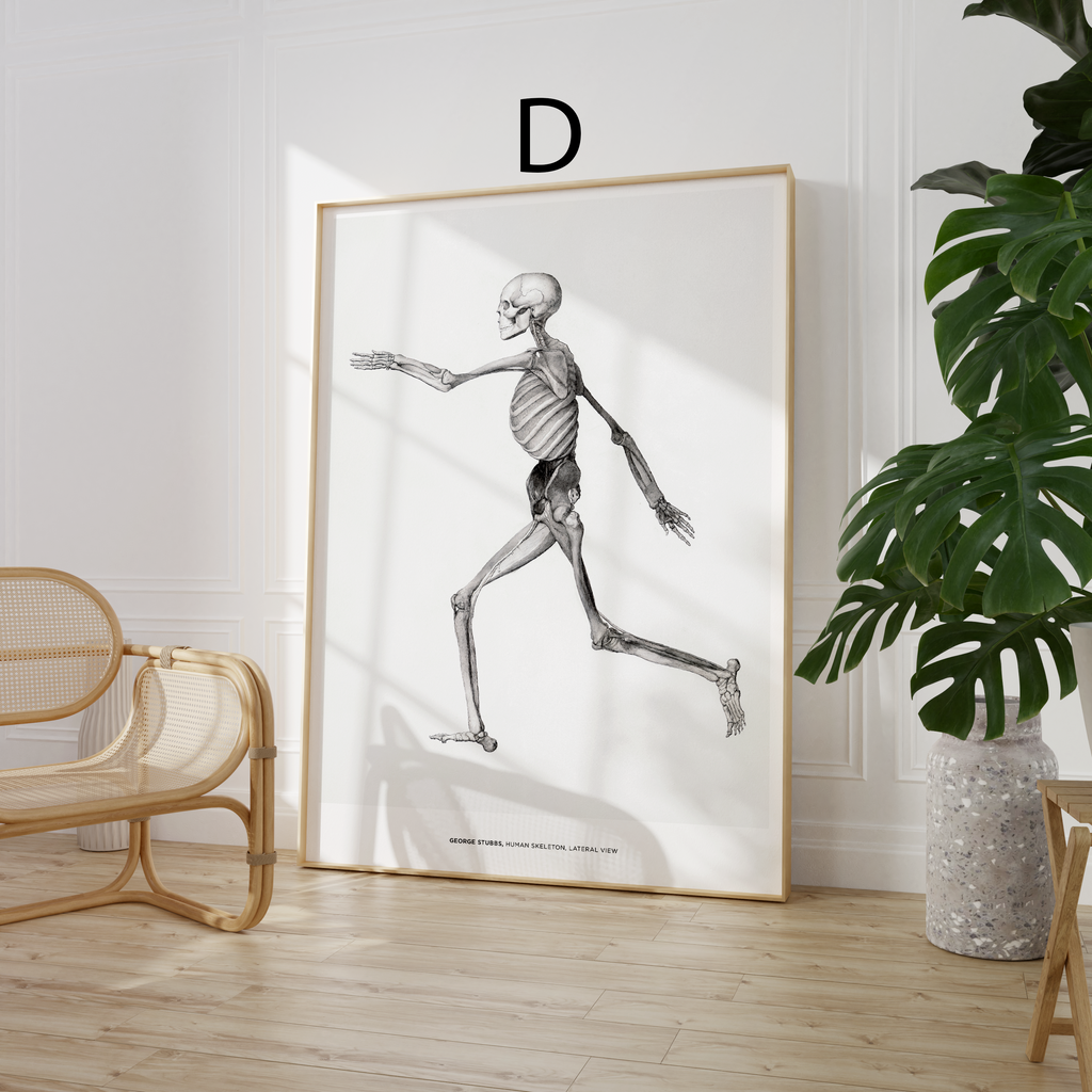 Kunst Poster · Geschenkidee · Berühmte Gemälde Vintage Illustrationen Japanische Kunst Botanische Motive · Dekoprint ohne Rahmen