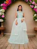 Gown with Embroidery & Glitter Work by Shreekama