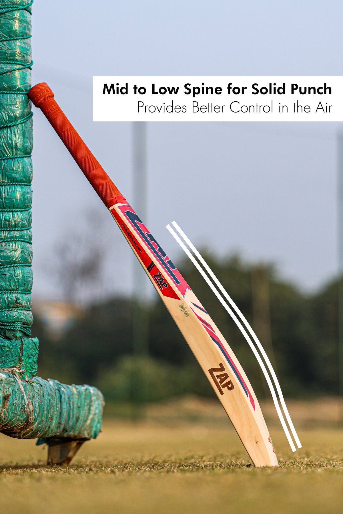 ZAP Instinct Kashmir Willow Bat
