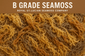 B Grade Full Spectrum St. Lucian Sea Moss — Wholesale Bulk 10lbs-0