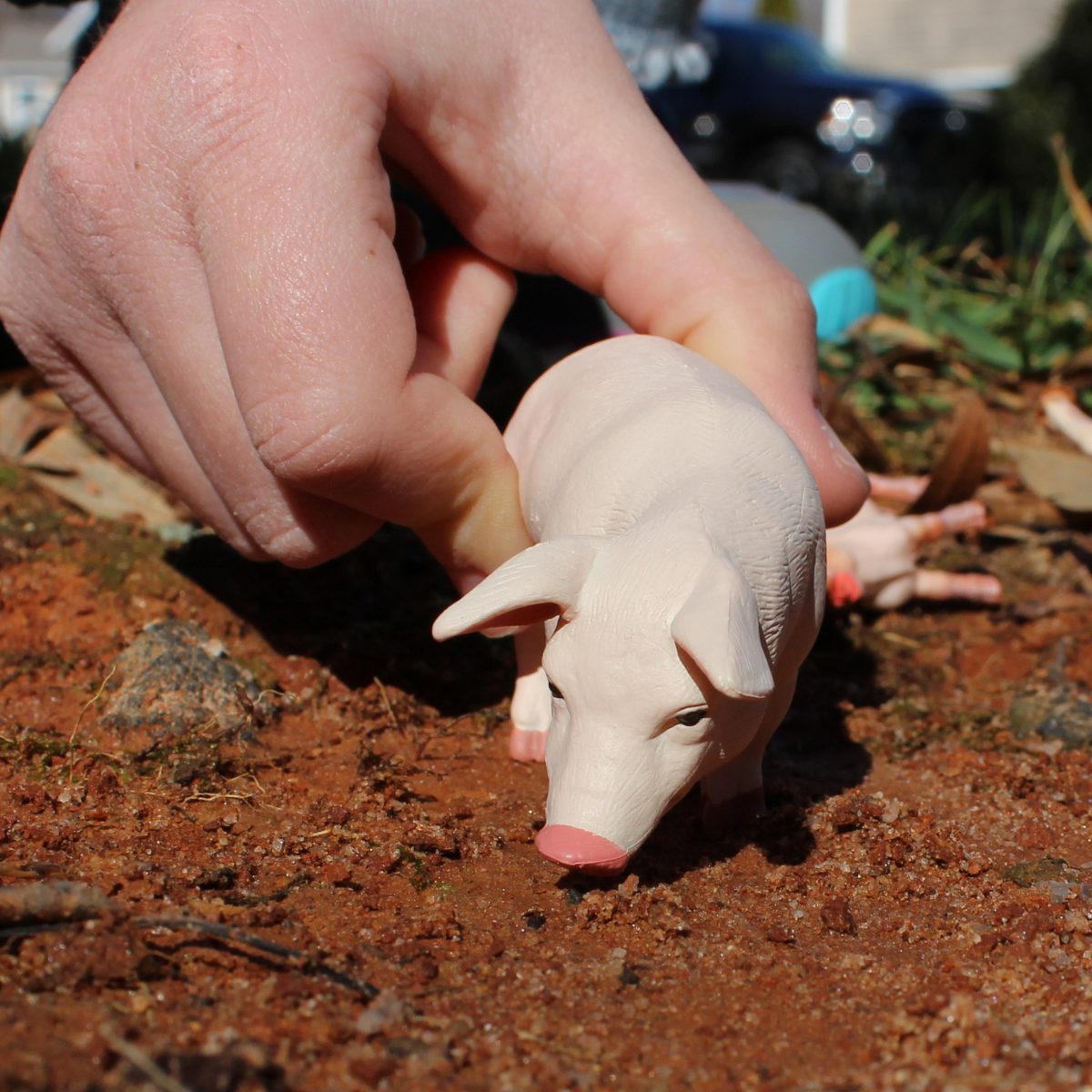 Sow Toy