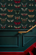 Vintage Moth Collection Wallpaper