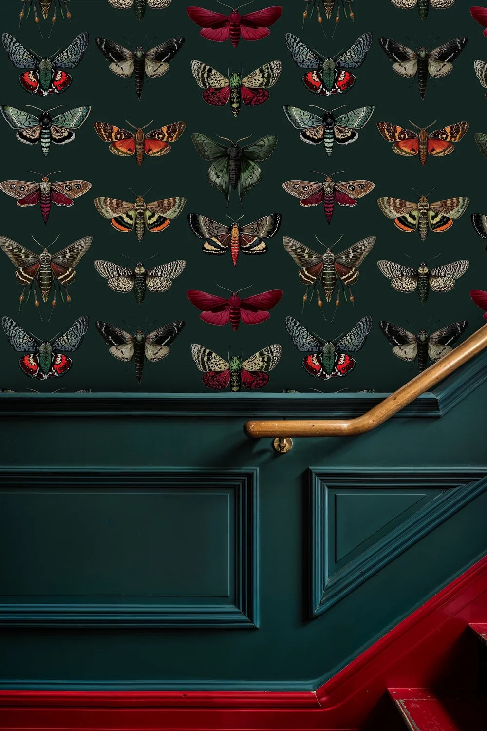 Vintage Moth Collection Wallpaper