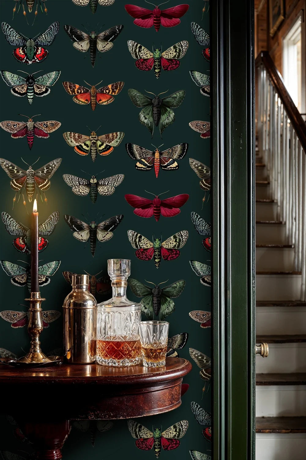 Vintage Moth Collection Wallpaper