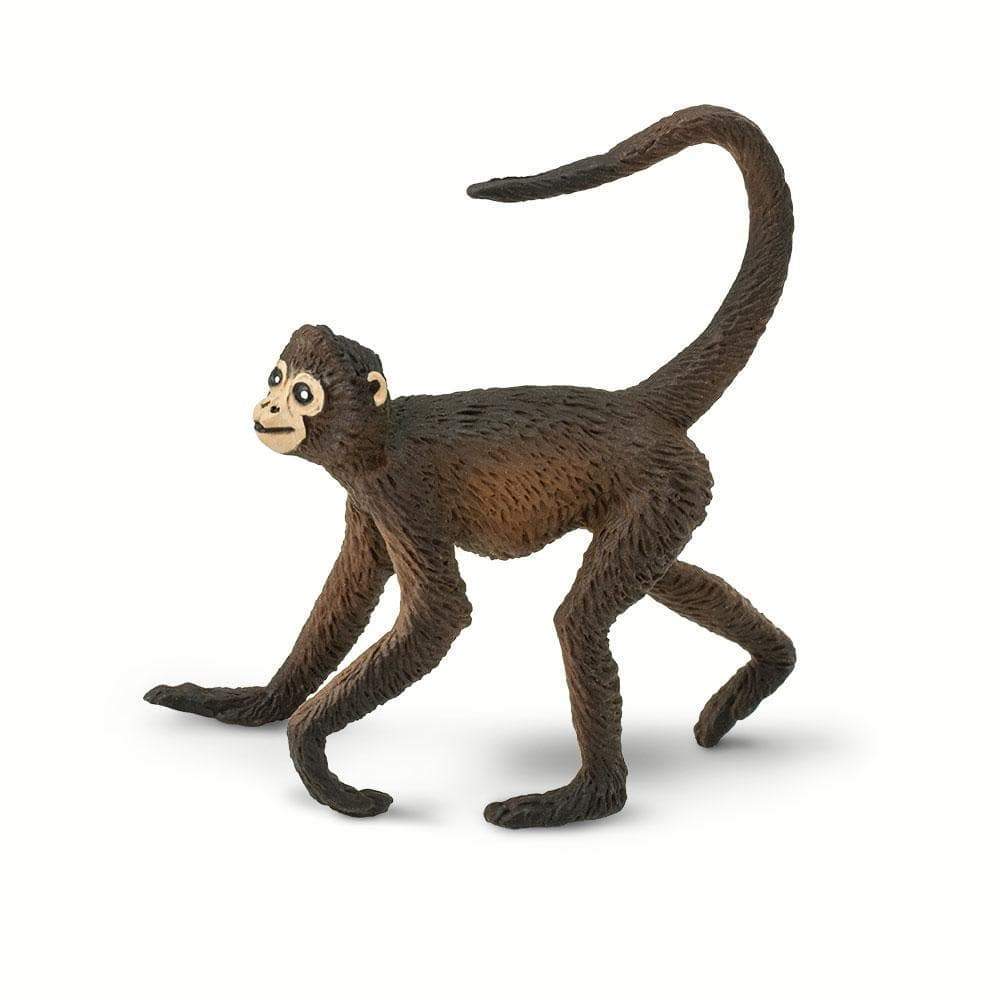 Spider Monkey Toy