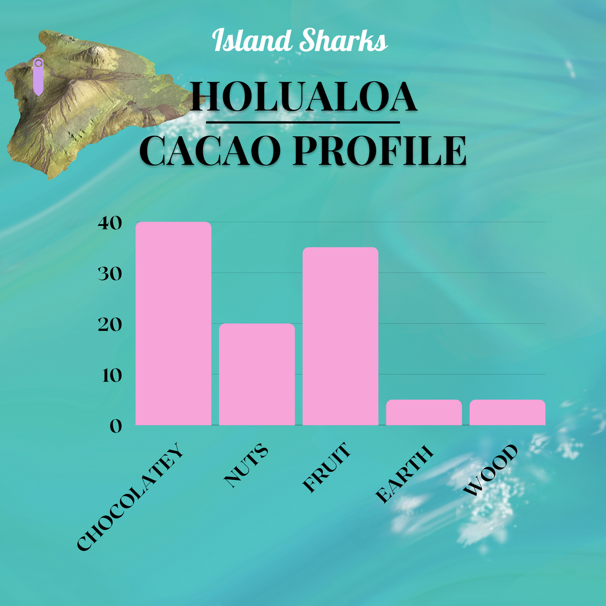 10 - Year Laphroaig Scotch-Whiskey Infused 71% Hawaiian Dark Chocolate
