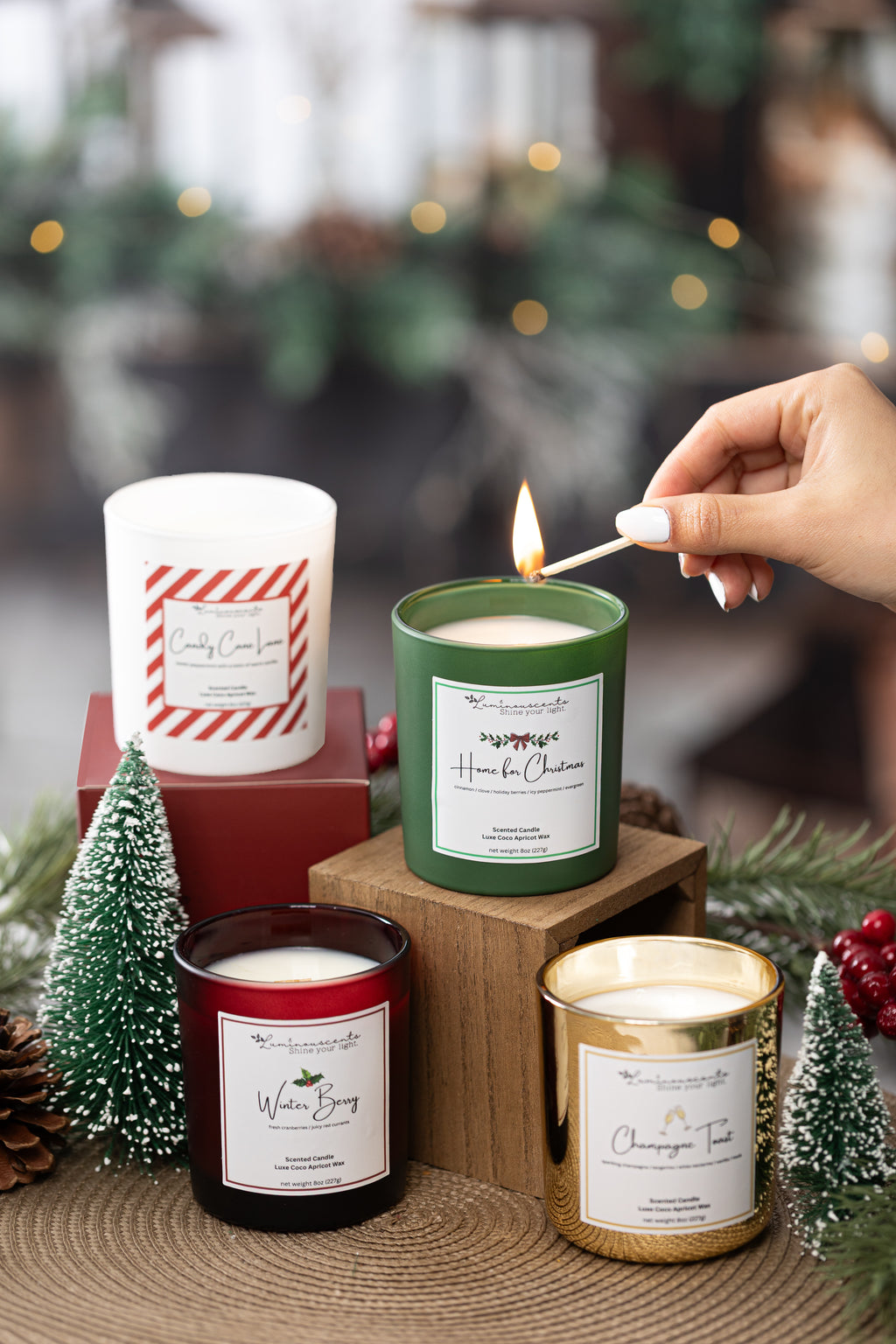 Home For Christmas - Holiday Collection at Dealshubindia