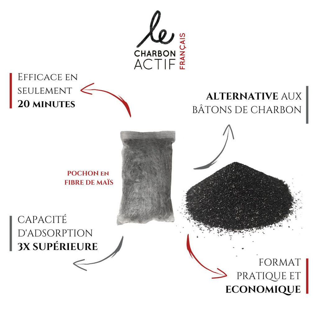 Lot de 2 filtres à eau au charbon végétal actif