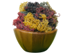 Full Spectrum Sea Moss (St. Lucian) | Wholesale Dried