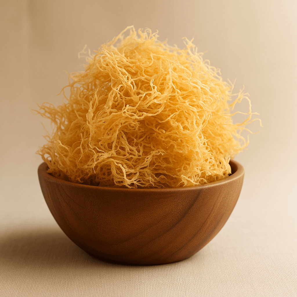 Large-Volume Gold Sea Moss | 25–1,000 lb Business Supply