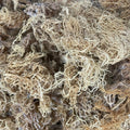 B-Grade Gold Sea Moss | 10 lb Bulk Case-0
