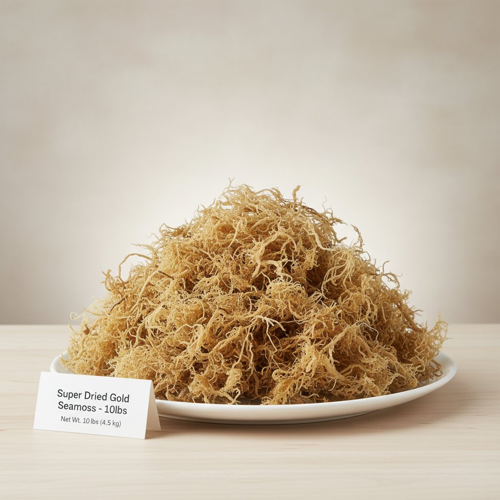 B-Grade Gold Sea Moss | 10 lb Bulk Case