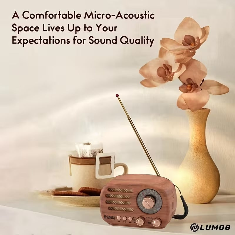 Portable AM/FM/SW Multifunctional Radio - Radios at Dealshubindia
