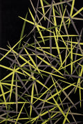 Hand Tufted Rug | Black, Lime & Olive Green | Wool | Surfmist by Rugfine